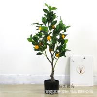 uploads/erp/collection/images/Home Garden/dgjiawang/XU0612825/img_b/XU0612825_img_b_5